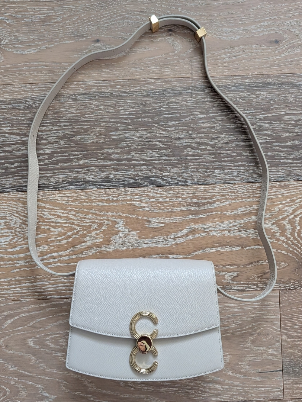 Cafune Pendulum Flap Bag with Gold Hardware